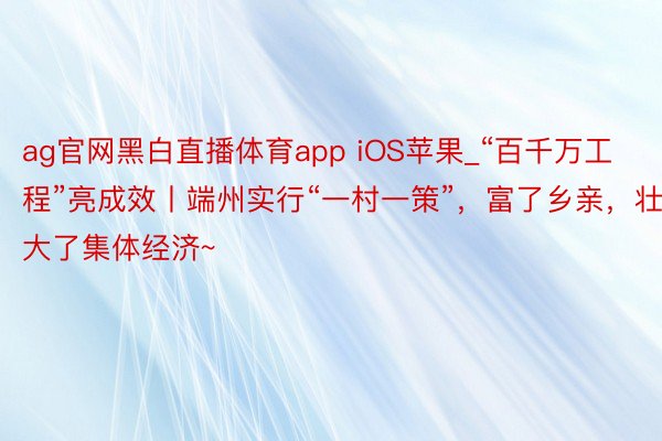 ag官网黑白直播体育app iOS苹果_“百千万工程”亮成效丨端州实行“一村一策”，富了乡亲，壮大了集体经济~