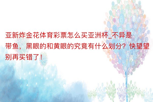 亚新炸金花体育彩票怎么买亚洲杯_不异是带鱼，黑眼的和黄眼的究竟有什么划分？快望望别再买错了！