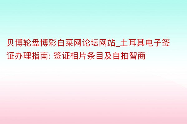 贝博轮盘博彩白菜网论坛网站_土耳其电子签证办理指南: 签证相片条目及自拍智商