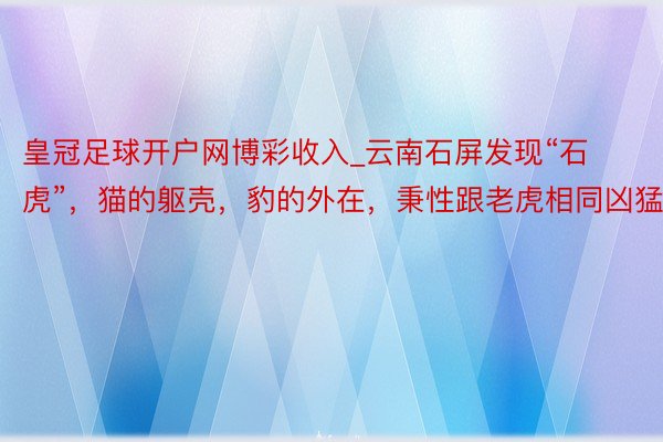 皇冠足球开户网博彩收入_云南石屏发现“石虎”，猫的躯壳，豹的外在，秉性跟老虎相同凶猛